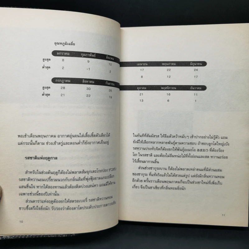 โตเกียว โตเกียว ไม่รู้จบ - Anchalee รูปที่ 11