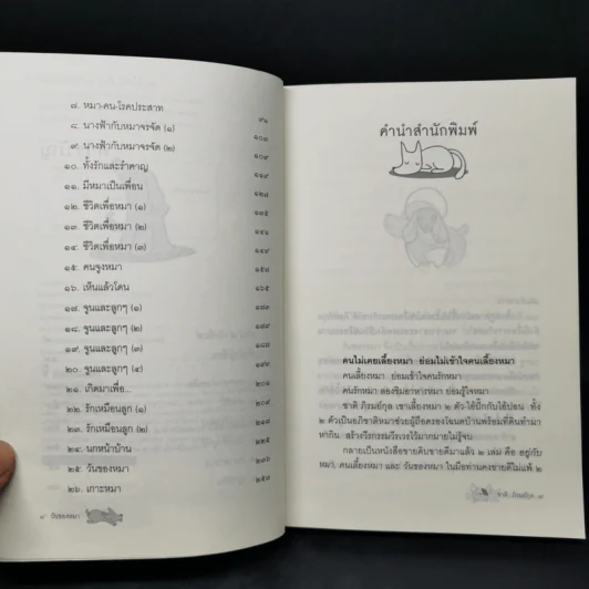 วันของหมา - ชาติ ภิรมย์กุล รูปที่ 9