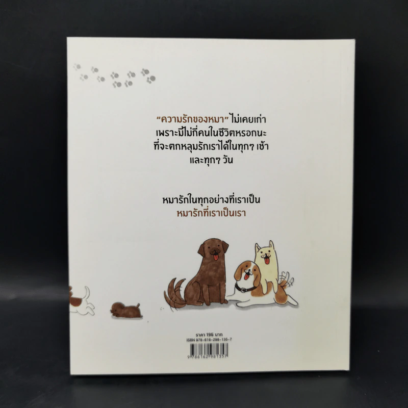 หมาจ๋า 50 จากล้านเหตุผลที่คนหนึ่งคนรักหมา - หมาจ๋า รูปที่ 2