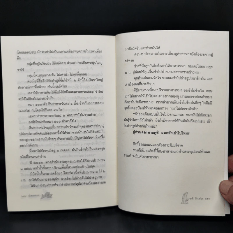วันของหมา - ชาติ ภิรมย์กุล รูปที่ 12