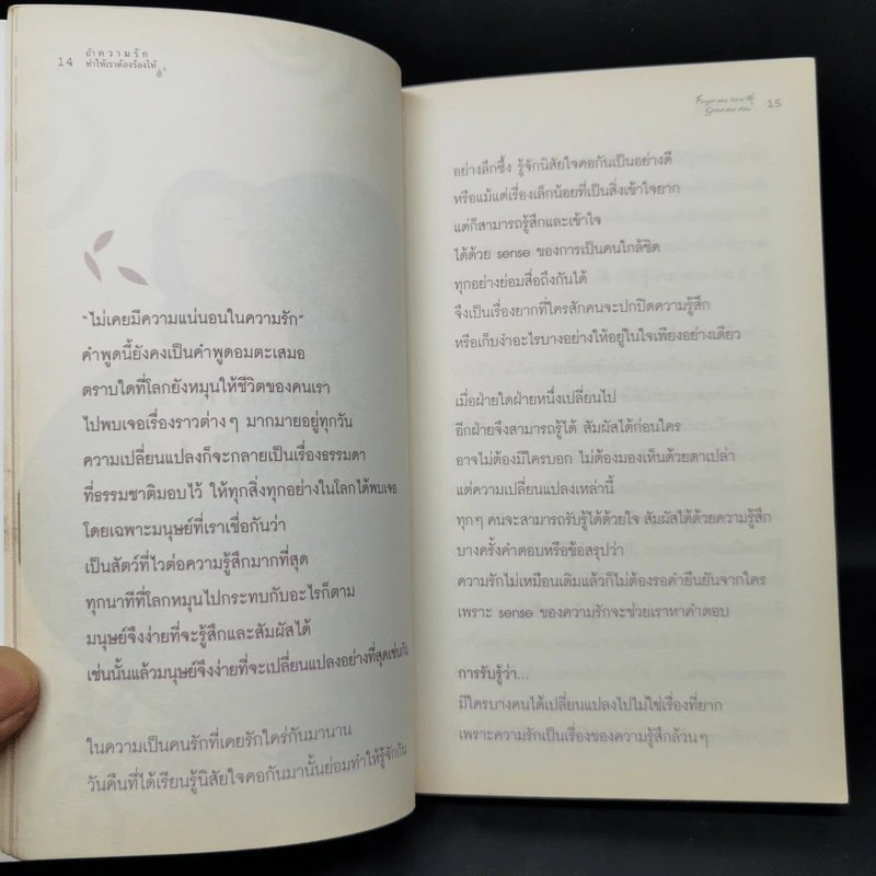 ถ้าความรักทำให้เราต้องร้องไห้ - ลูกปัด รูปที่ 12