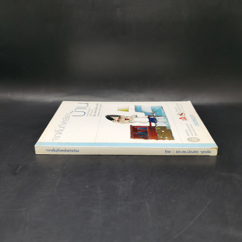 จากพื้นถึงหลังคาบ้าน - รศ.ดร.บัณฑิต จุลาสัย รูปที่ 3