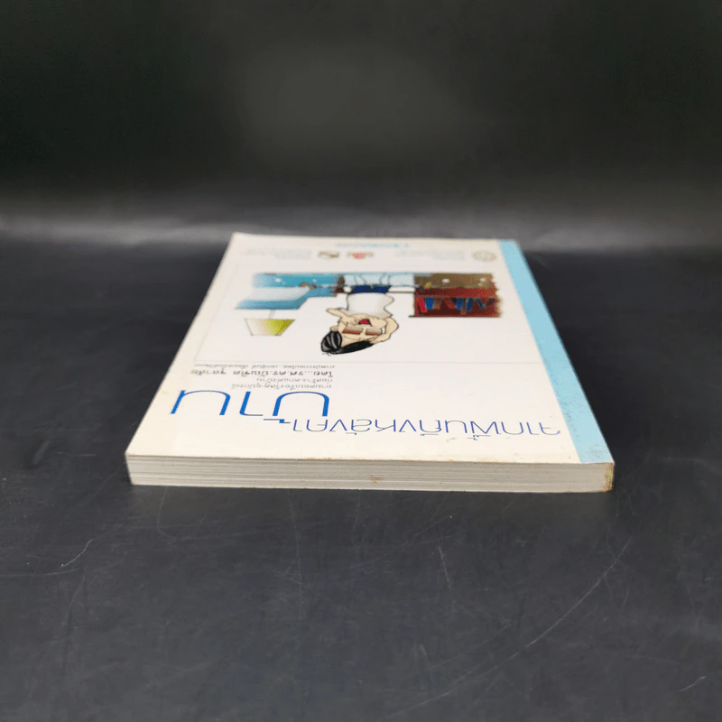 จากพื้นถึงหลังคาบ้าน - รศ.ดร.บัณฑิต จุลาสัย รูปที่ 6