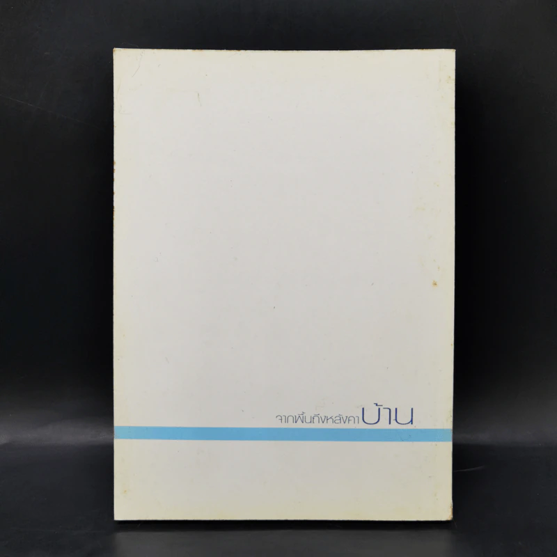 จากพื้นถึงหลังคาบ้าน - รศ.ดร.บัณฑิต จุลาสัย รูปที่ 2