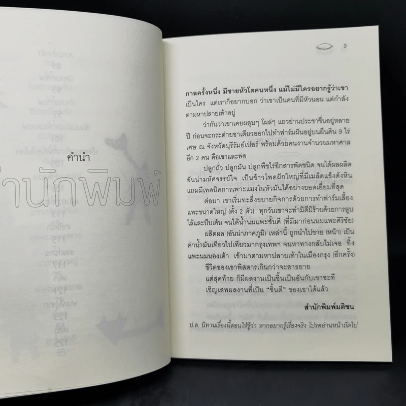 นิทานพริบตา - อาทิเช่น รูปที่ 10