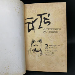 ชิโร่ คำวิงวอนของสุนัขทดลอง - อิโนอุเอะ ยูกะ รูปที่ 8