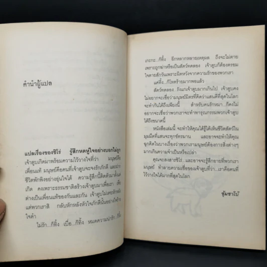 ชิโร่ คำวิงวอนของสุนัขทดลอง - อิโนอุเอะ ยูกะ รูปที่ 10