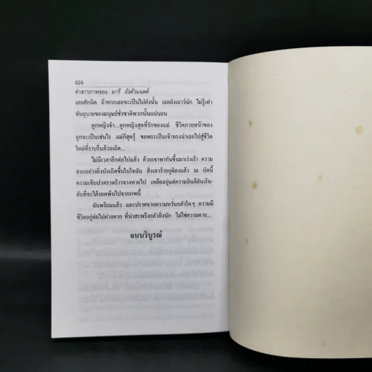 คำสารภาพของ มารีอังตัวแนตต์ - นิดา รูปที่ 12