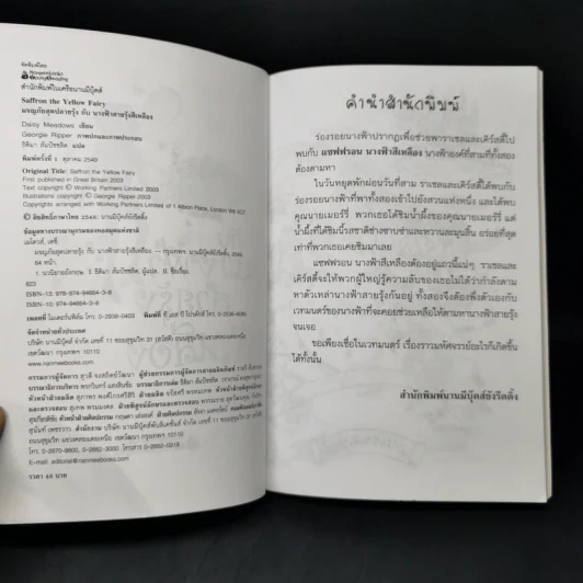 ผจญภัยสุดปลายรุ้งกับนางฟ้าสายรุ้งสีเหลือง รูปที่ 8