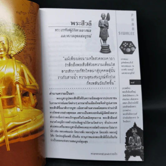 พระบูชามหาเศรษฐี บูชาแล้วรวยเร็ว - ทศพล จังพานิชย์กุล รูปที่ 11