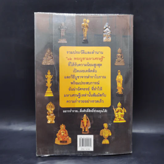 พระบูชามหาเศรษฐี บูชาแล้วรวยเร็ว - ทศพล จังพานิชย์กุล รูปที่ 2