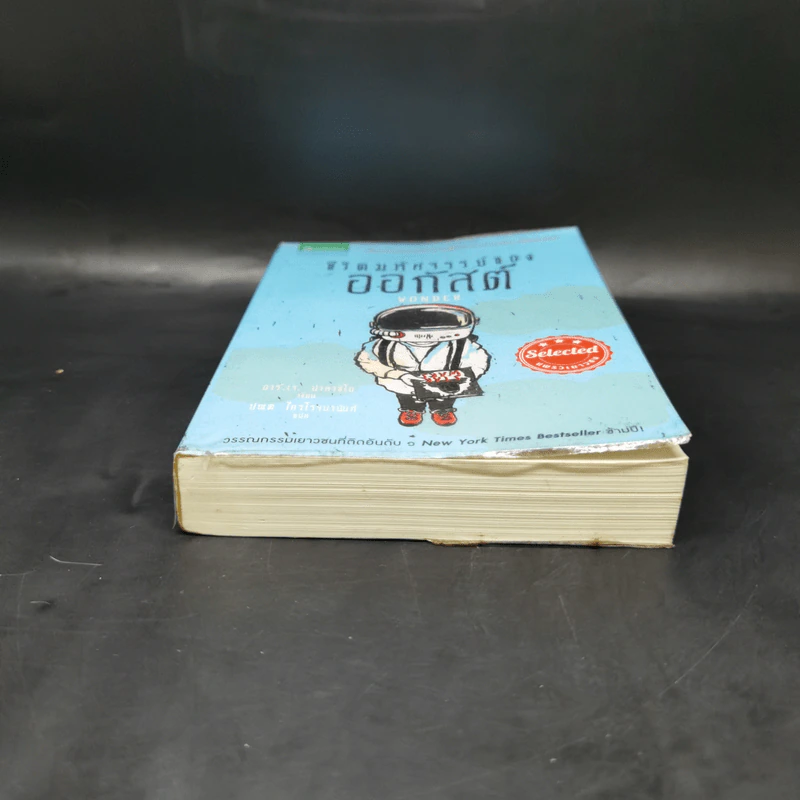 ชีวิตมหัศจรรย์ของออกัสต์ (Wonder) - อาร์.เจ. ปาลาซิโอ รูปที่ 4