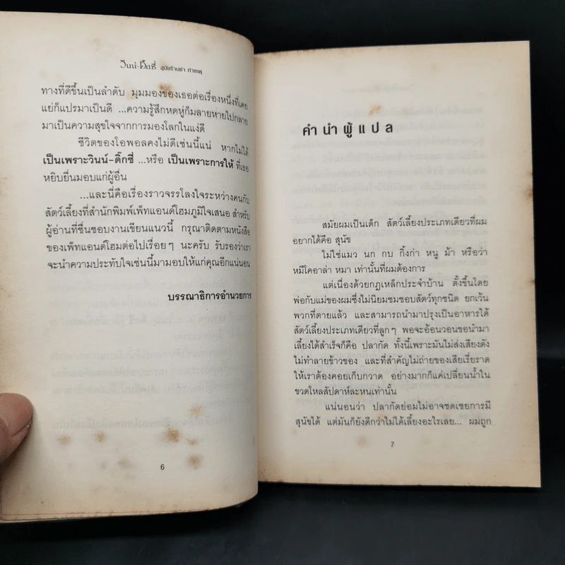 วินน์-ดิ๊กซี่ สุนัขร้านชำ ทำเหตุ - เคท ดิคามิลโล รูปที่ 11