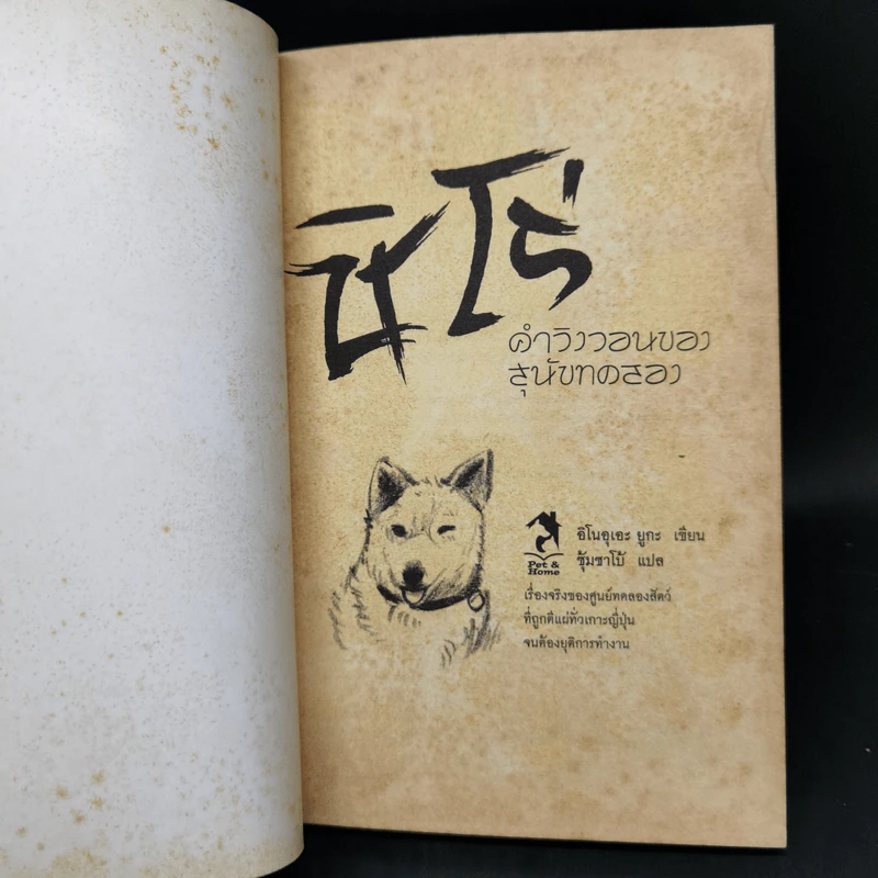 ชิโร่ คำวิงวอนของสุนัขทดลอง - อิโนอุเอะ ยูกะ รูปที่ 8