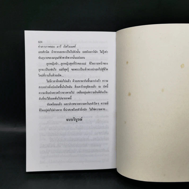 คำสารภาพของ มารีอังตัวแนตต์ - นิดา รูปที่ 12