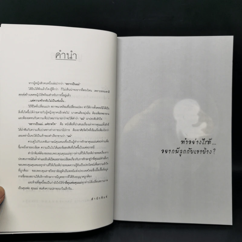 อยากเป็นแม่แค่ขาดใจ - ตรีชญา, ฉัตรพร พิมลสิงห์ รูปที่ 10