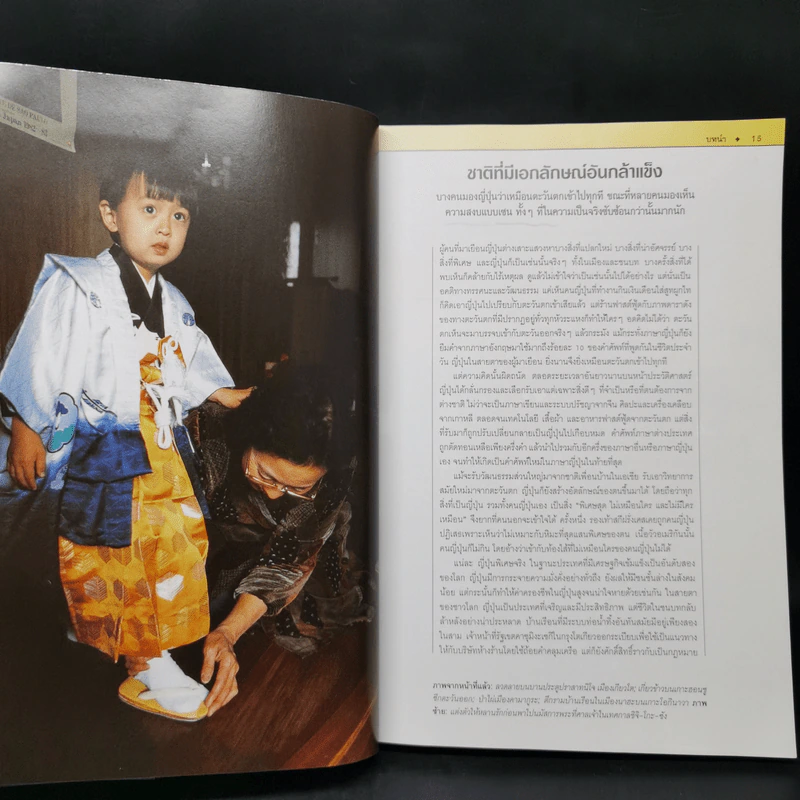 หน้าต่างสู่โลกกว้าง ญี่ปุ่น รูปที่ 11