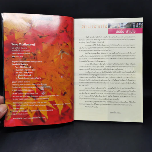 ใครๆก็ไปเที่ยวเกาหลี - อดิศักดิ์ จันทร์ดวง รูปที่ 8