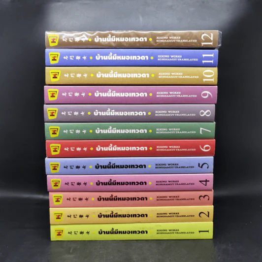 บ้านนี้มีหมอเทวดา 12 เล่มจบ - ชีฉิง รูปที่ 2