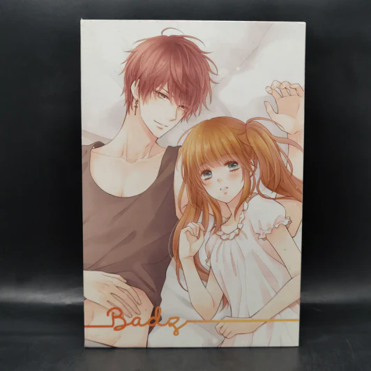 Box Set Boy For Rent (Badz + Sexy) + สมุดโน๊ต + โปสเตอร์ 2 แผ่น - เจ้าหญิงผู้เลอโฉม รูปที่ 3