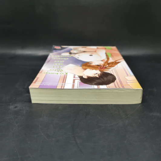 นิยายแจ่มใส Exchange Sister สวย แสบ ว้าว! น้องสาวแลกเปลี่ยน - แสตมป์เบอรี่ รูปที่ 6