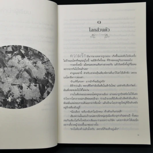 อกเกือบหักแอบรักคุณสามี - นาวาร้อยกวี รูปที่ 10