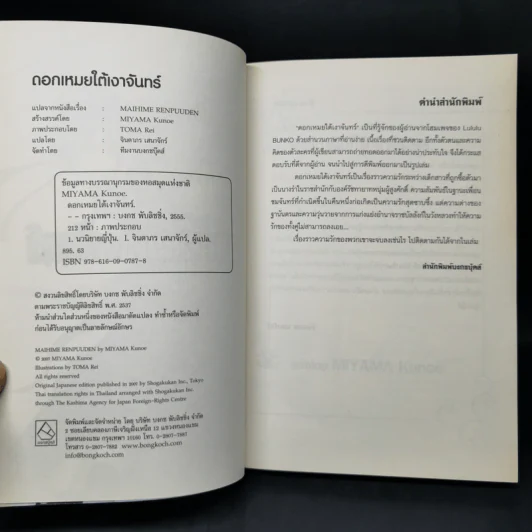 ดอกเหมยใต้เงาจันทร์ รูปที่ 8