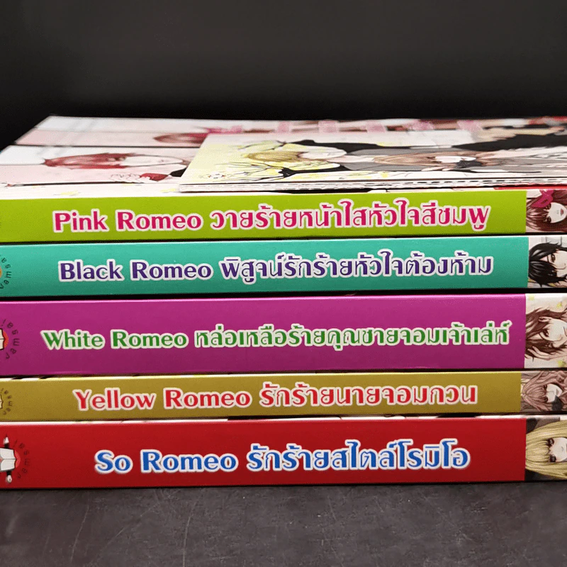 นิยายแจ่มใส เซ็ต Sweet Memory Collection Romeo - ลูกชุบ รูปที่ 10