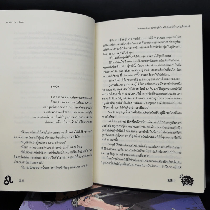 นิยายแจ่มใส Box Set Prince of Zodiac So Sexy 6 เล่ม รูปที่ 12