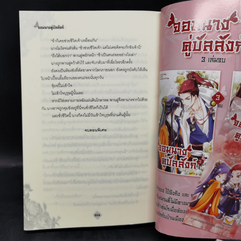 จอมนางคู่บัลลังก์ 3 เล่มจบ - Feng Nong รูปที่ 11