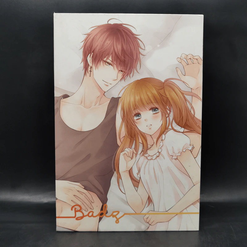 Box Set Boy For Rent (Badz + Sexy) + สมุดโน๊ต + โปสเตอร์ 2 แผ่น - เจ้าหญิงผู้เลอโฉม รูปที่ 3