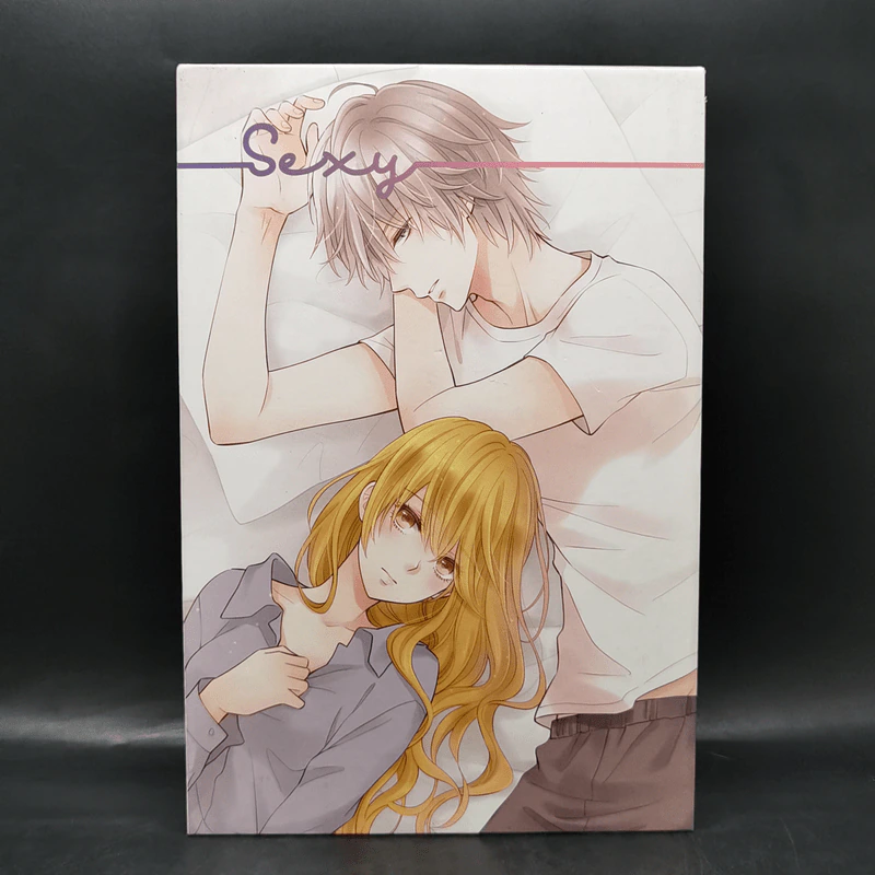 Box Set Boy For Rent (Badz + Sexy) + สมุดโน๊ต + โปสเตอร์ 2 แผ่น - เจ้าหญิงผู้เลอโฉม รูปที่ 2