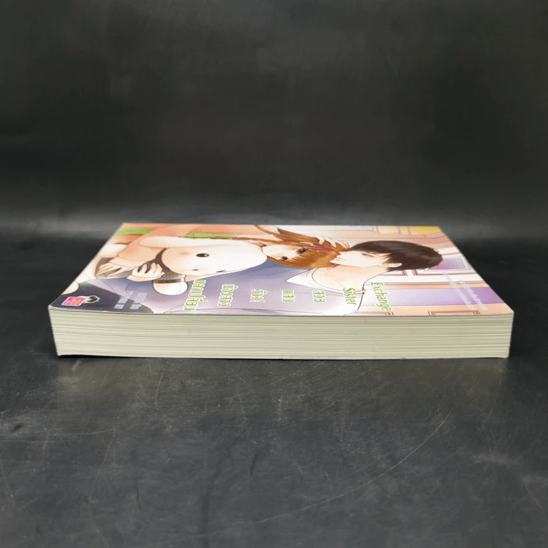 นิยายแจ่มใส Exchange Sister สวย แสบ ว้าว! น้องสาวแลกเปลี่ยน - แสตมป์เบอรี่ รูปที่ 5