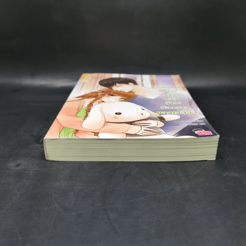 นิยายแจ่มใส Exchange Sister สวย แสบ ว้าว! น้องสาวแลกเปลี่ยน - แสตมป์เบอรี่ รูปที่ 4