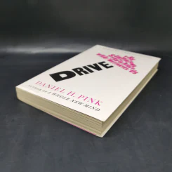 Drive: The Surprising Truth About What Motivates Us - Daniel H. Pink รูปที่ 7