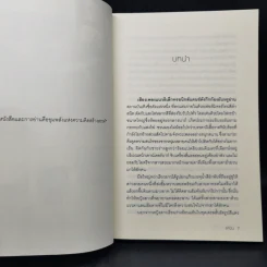 ใจแค้นแสนรัก - ลานีน รูปที่ 9