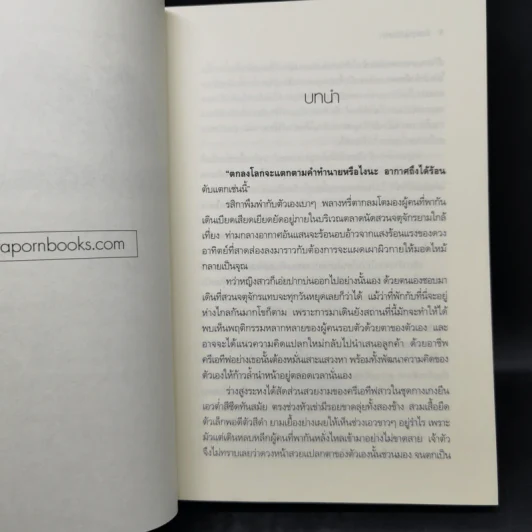 ดั่งพรหมลิขิตรัก - ฐิญาดา รูปที่ 10