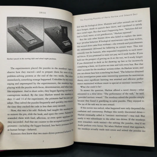 Drive: The Surprising Truth About What Motivates Us - Daniel H. Pink รูปที่ 12