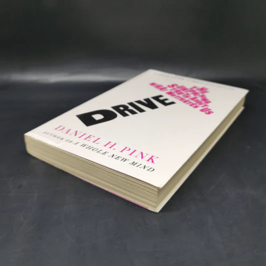 Drive: The Surprising Truth About What Motivates Us - Daniel H. Pink รูปที่ 7