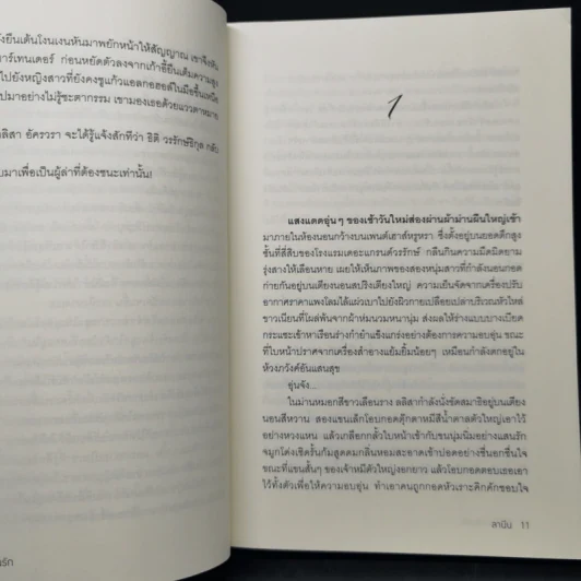 ใจแค้นแสนรัก - ลานีน รูปที่ 10