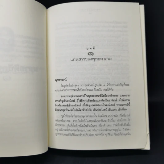 มหาสติปัฏฐานสูตร - ดังตฤณ รูปที่ 17