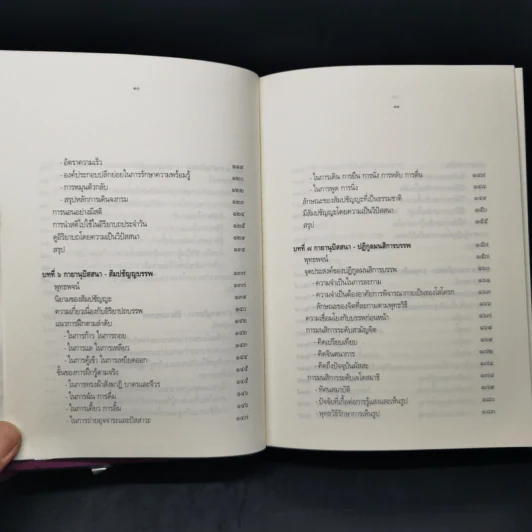 มหาสติปัฏฐานสูตร - ดังตฤณ รูปที่ 11