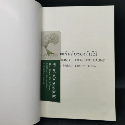 ชีวิตเร้นลับของต้นไม้ - เพเทอร์ โวลเลเบน รูปที่ 8