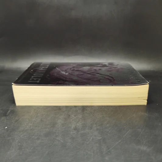 Ultraviolet - R.J. Anderson รูปที่ 5