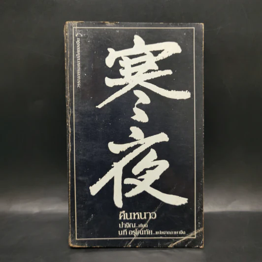 คืนหนาว - ปาจิณ รูปที่ 1