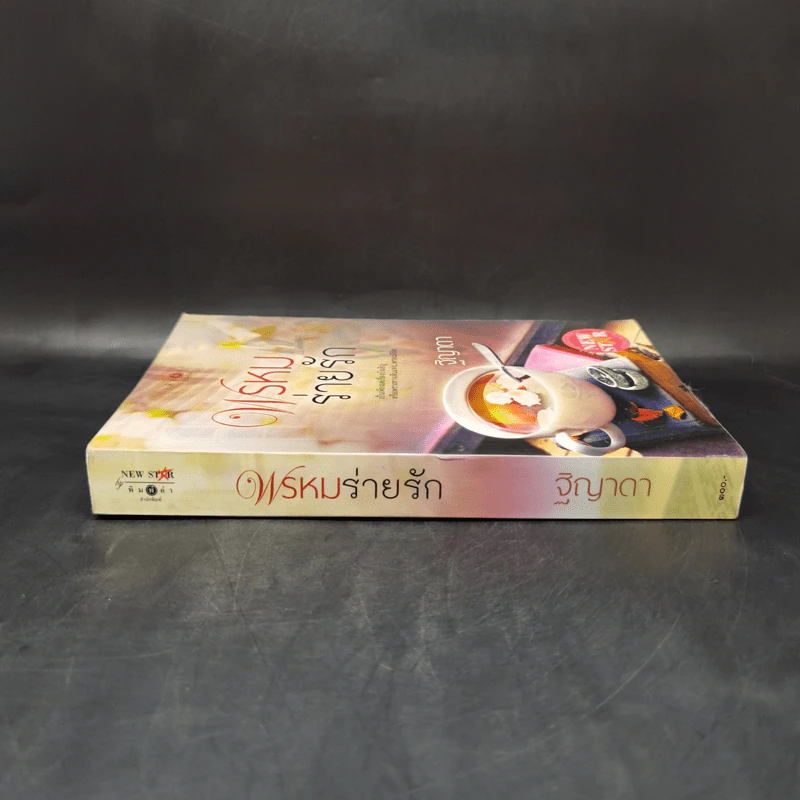 พรหมร่ายรัก - ฐิญาดา รูปที่ 3