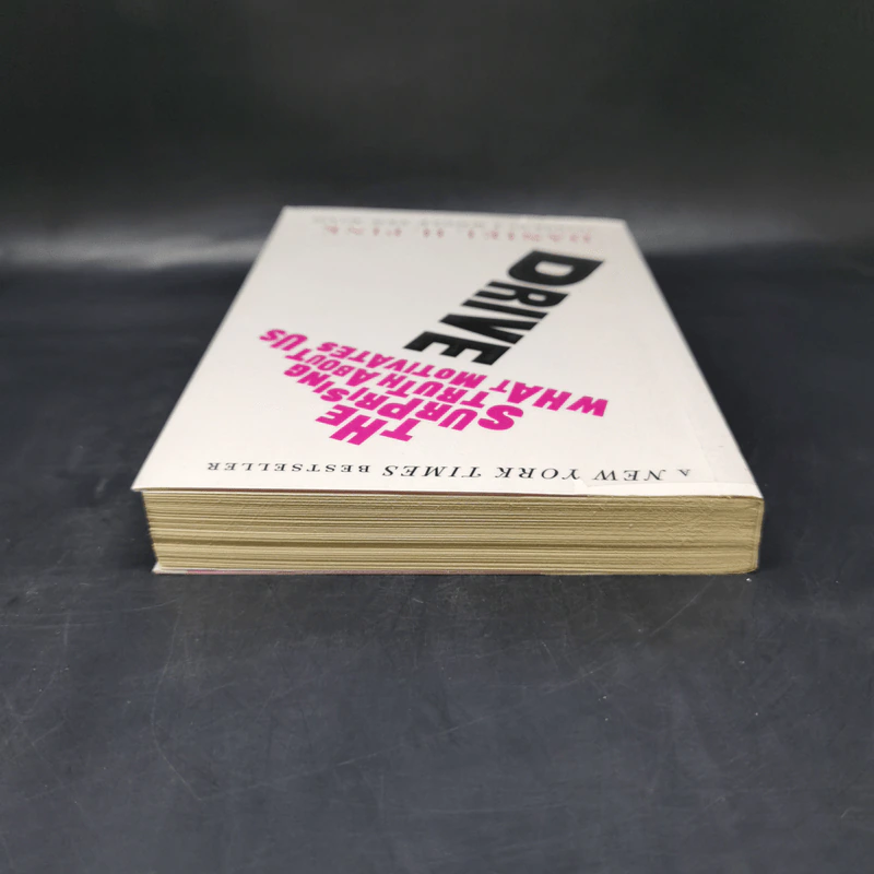 Drive: The Surprising Truth About What Motivates Us - Daniel H. Pink รูปที่ 6