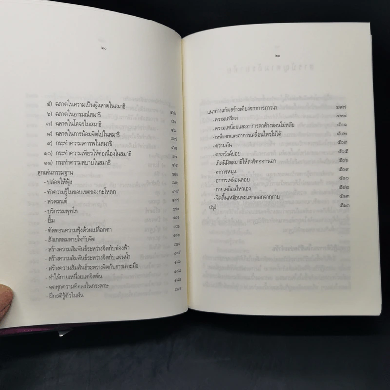 มหาสติปัฏฐานสูตร - ดังตฤณ รูปที่ 16