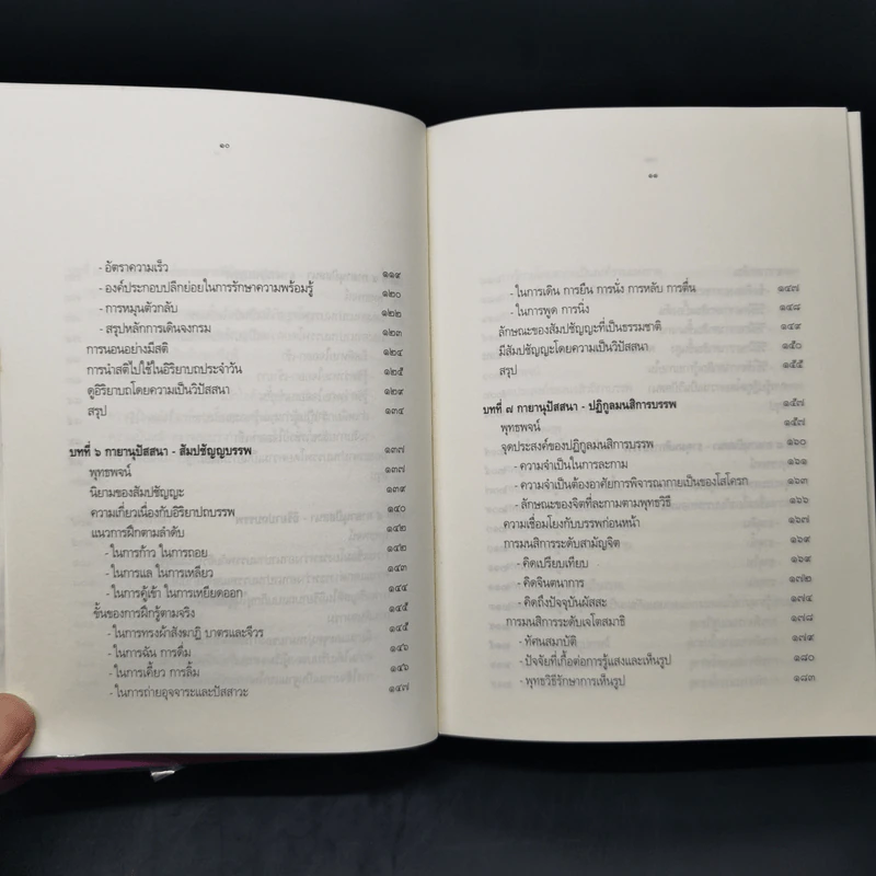 มหาสติปัฏฐานสูตร - ดังตฤณ รูปที่ 11