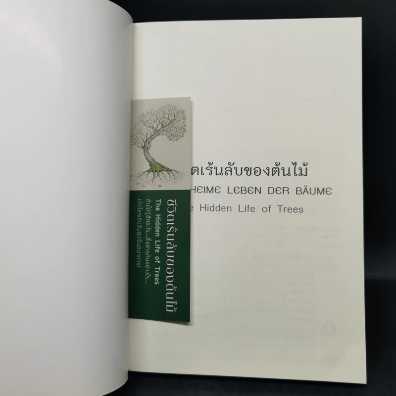 ชีวิตเร้นลับของต้นไม้ - เพเทอร์ โวลเลเบน รูปที่ 8